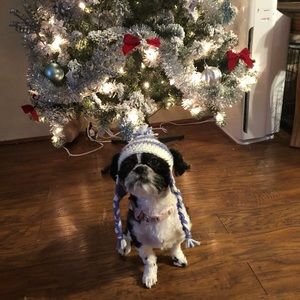 Crochet Shihtzu Winter Pompom Hat hand made NEW!